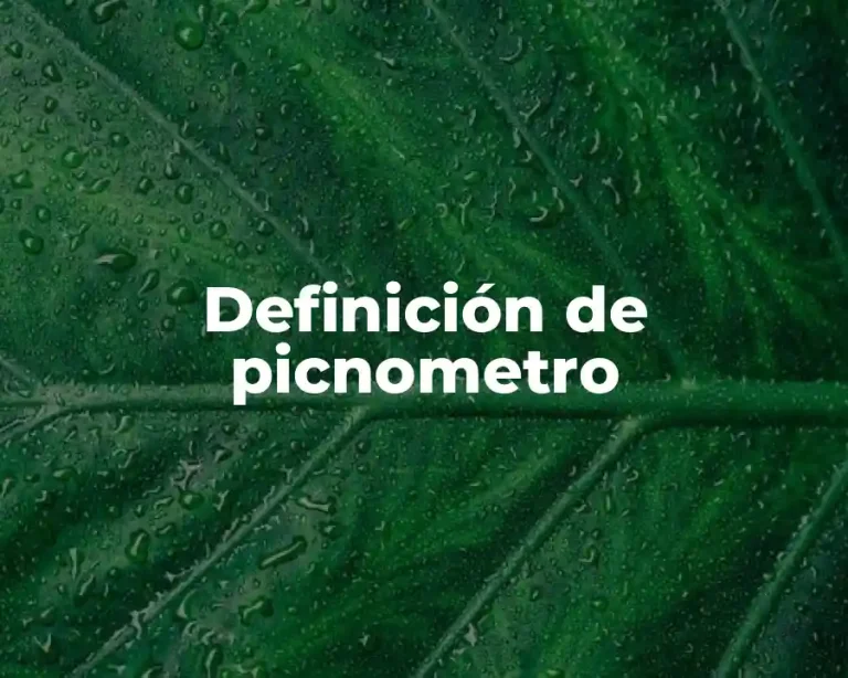 Definición de picnometro