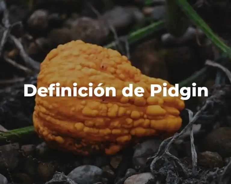 Definición de Pidgin