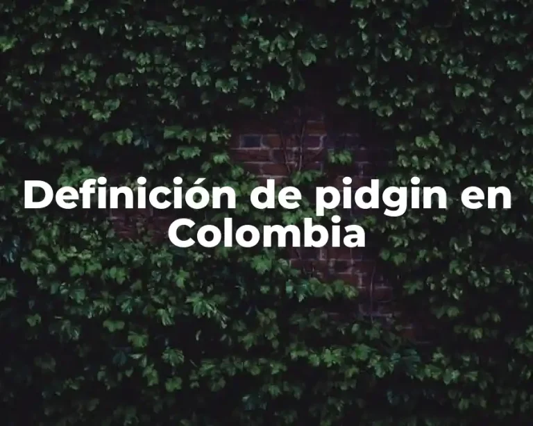 Definición de pidgin en Colombia