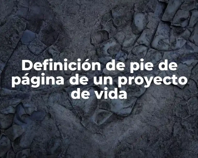 Definición de pie de página de un proyecto de vida