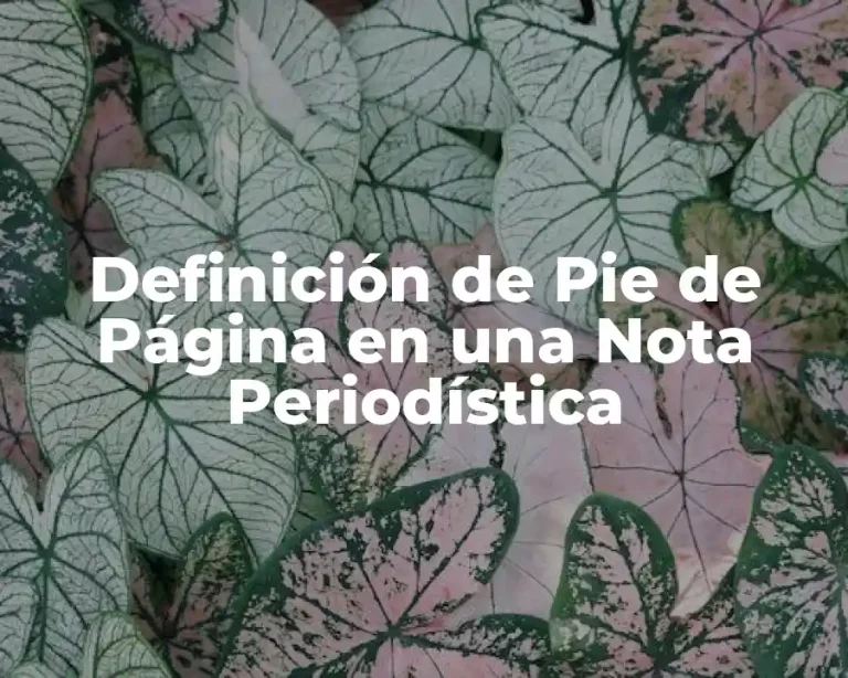 Definición de Pie de Página en una Nota Periodística