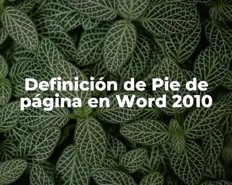 Definición de Pie de página en Word 2010