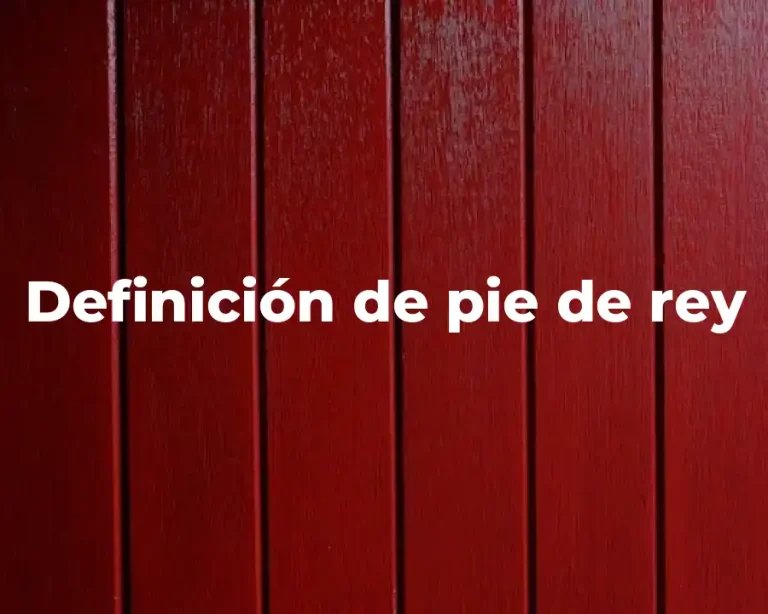 Definición de pie de rey