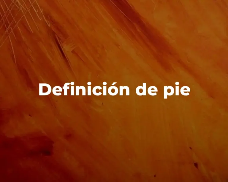 Definición de pie
