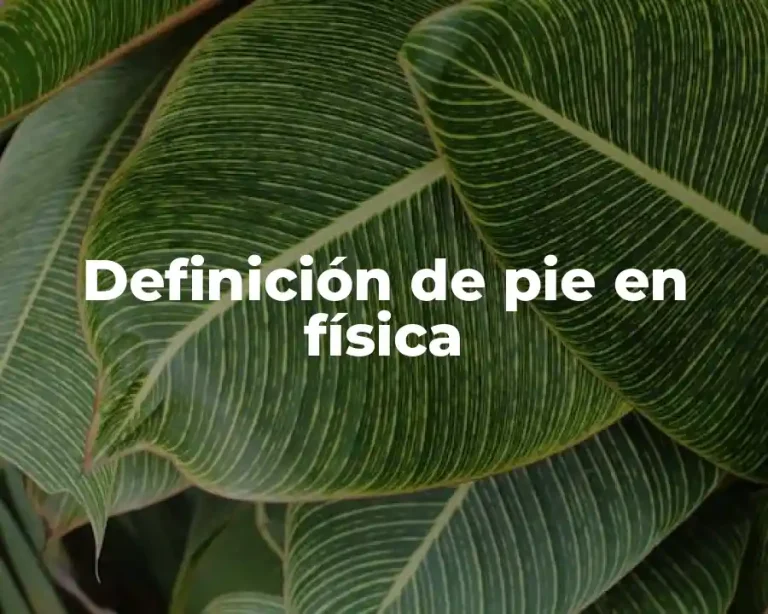 Definición de pie en física
