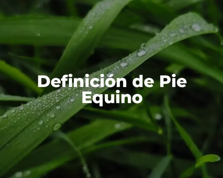 Definición de Pie Equino