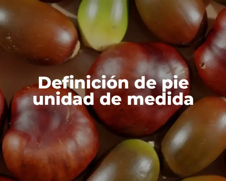 Definición de pie unidad de medida