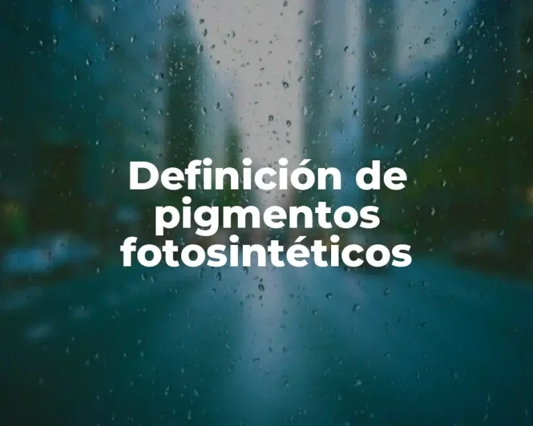 Definición de pigmentos fotosintéticos