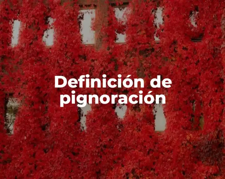 Definición de pignoración