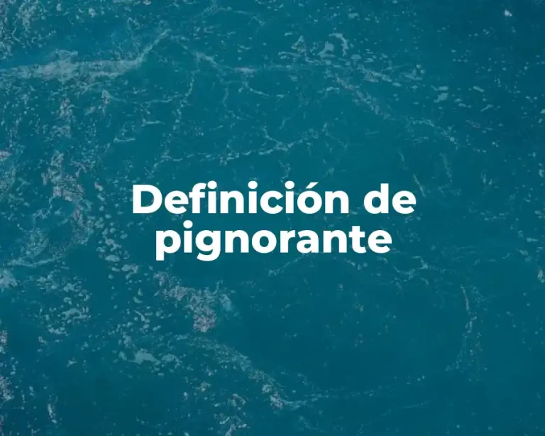 Definición de pignorante
