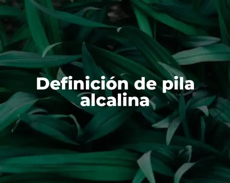 Definición de pila alcalina