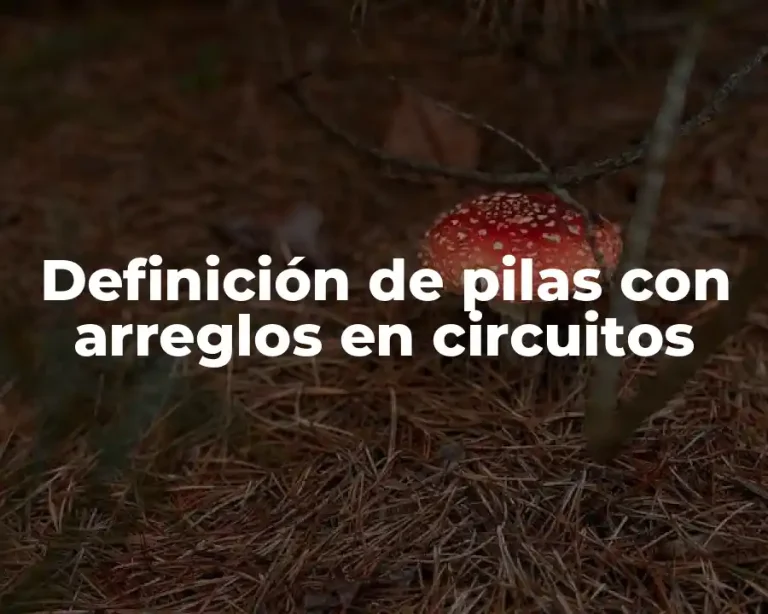Definición de pilas con arreglos en circuitos