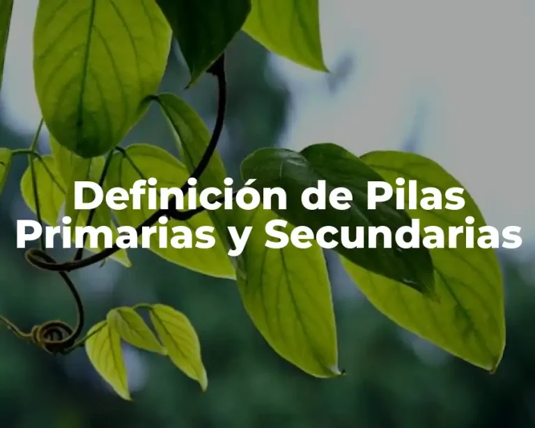 Definición de Pilas Primarias y Secundarias