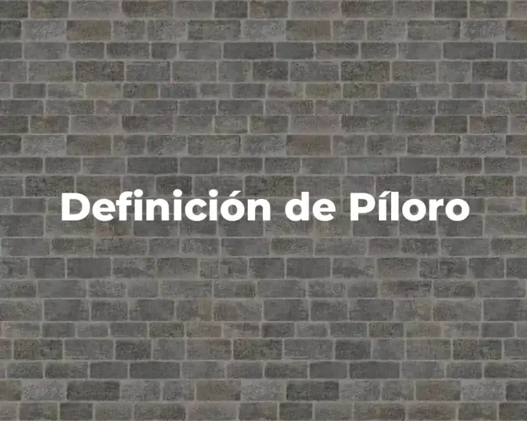 Definición de Píloro