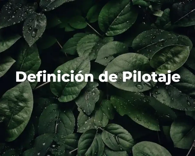 Definición de Pilotaje