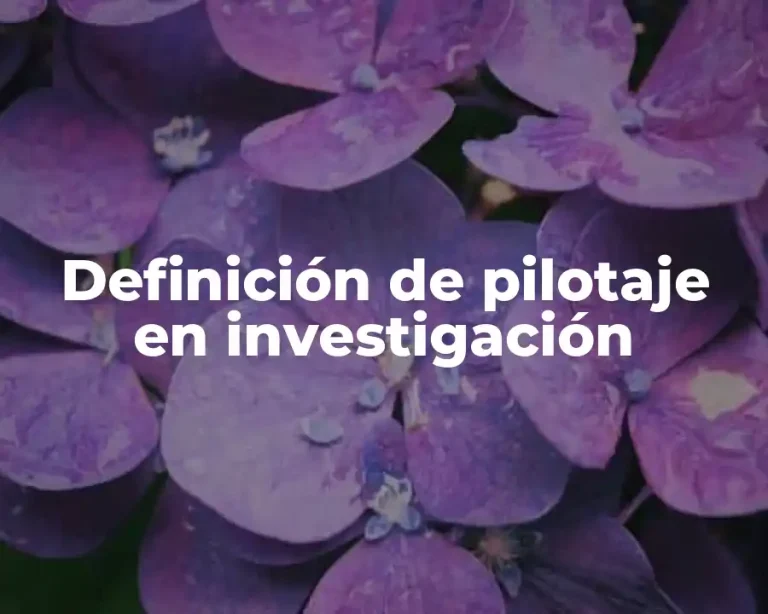 Definición de pilotaje en investigación