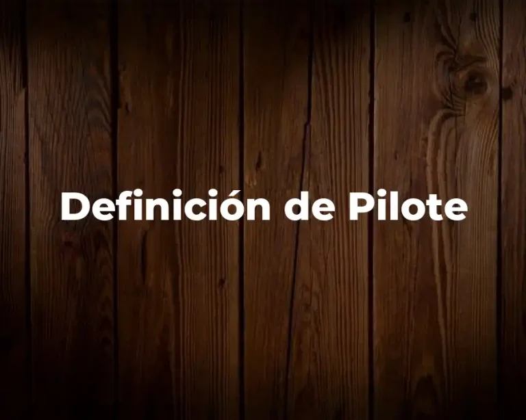 Definición de Pilote