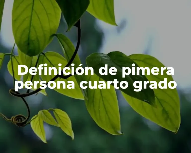 Definición de pimera persona cuarto grado