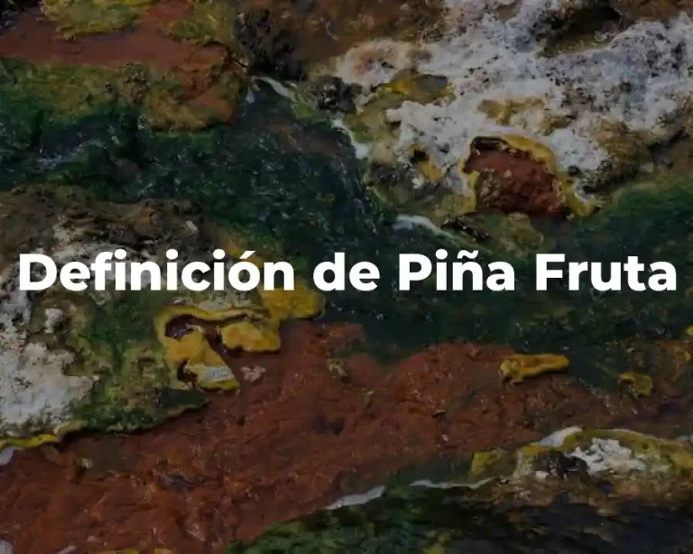 Definición de Piña Fruta