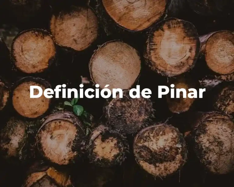 Definición de Pinar