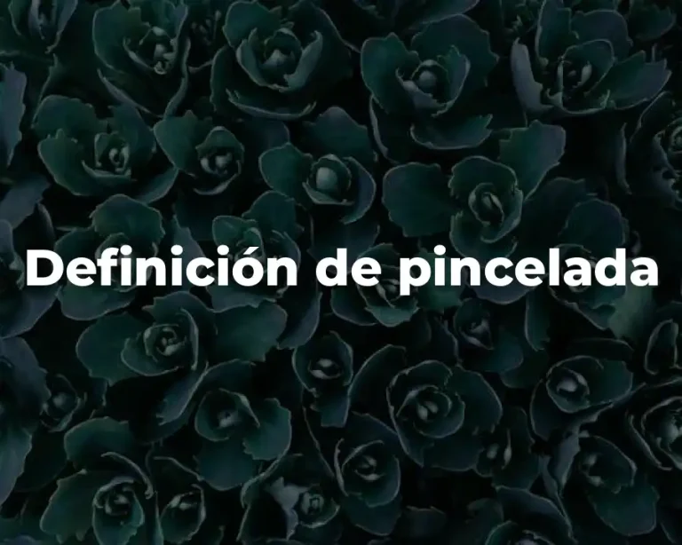 Definición de pincelada
