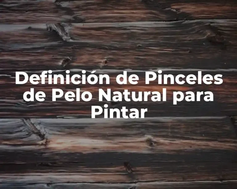 Definición de Pinceles de Pelo Natural para Pintar