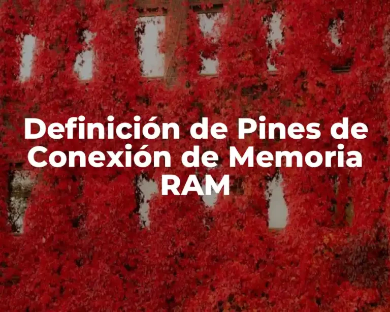 Definición de Pines de Conexión de Memoria RAM