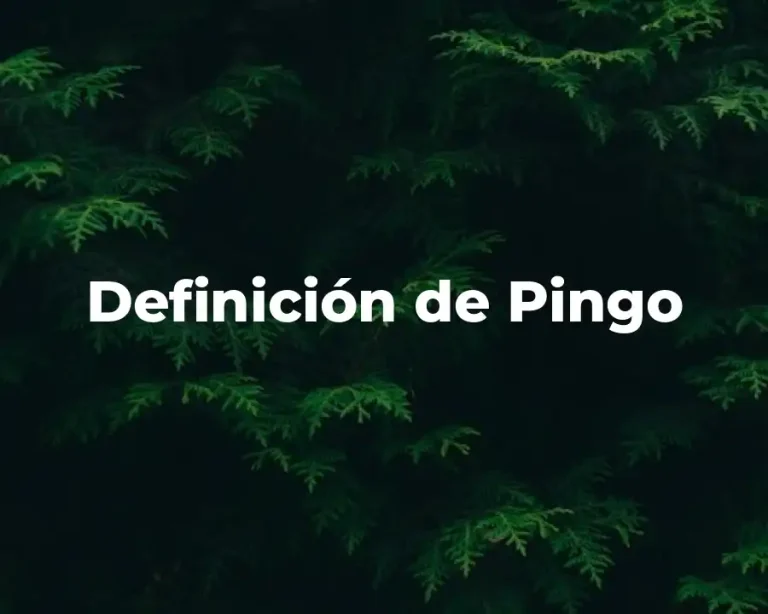 Definición de Pingo