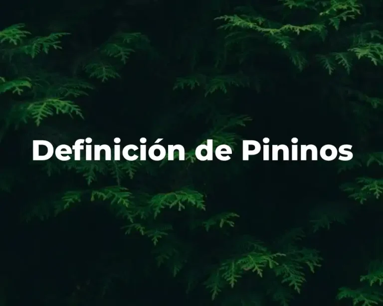 Definición de Pininos