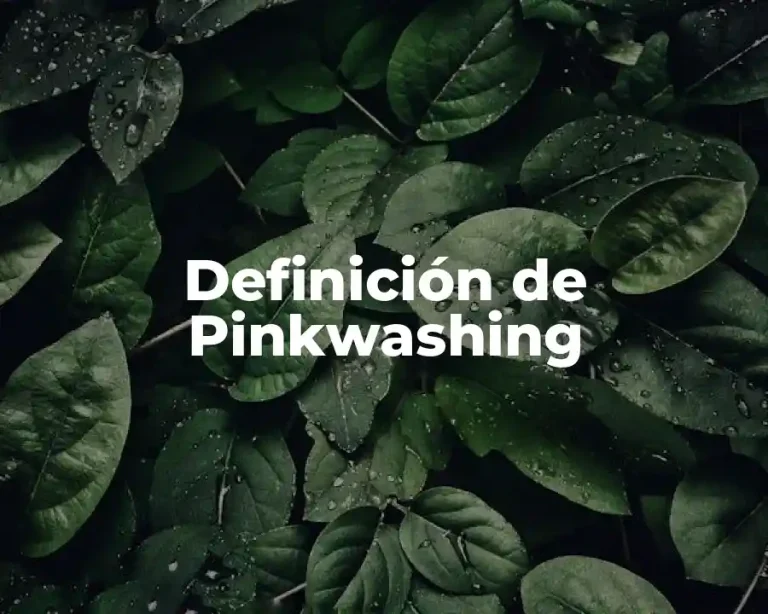 Definición de Pinkwashing