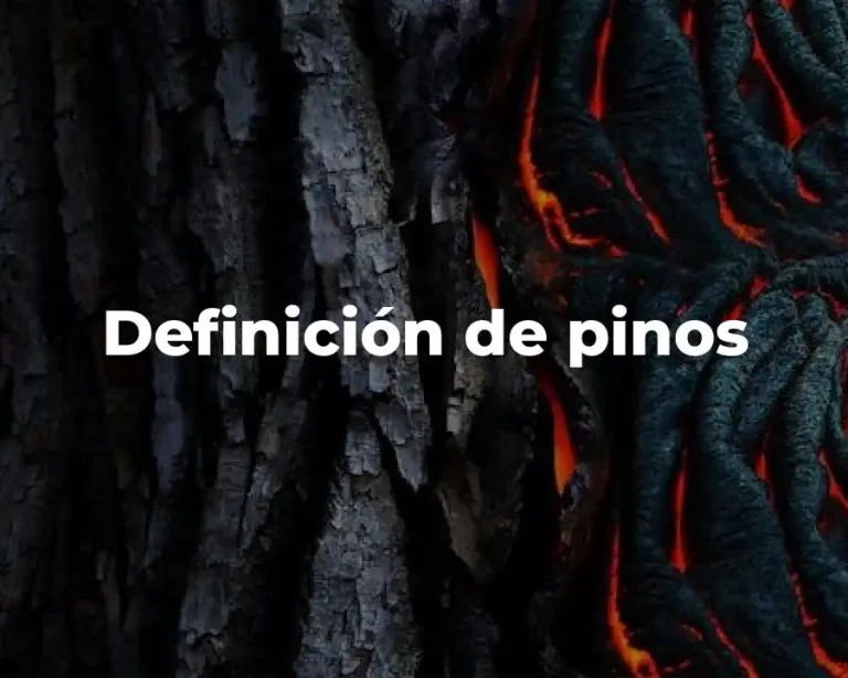 Definición de pinos
