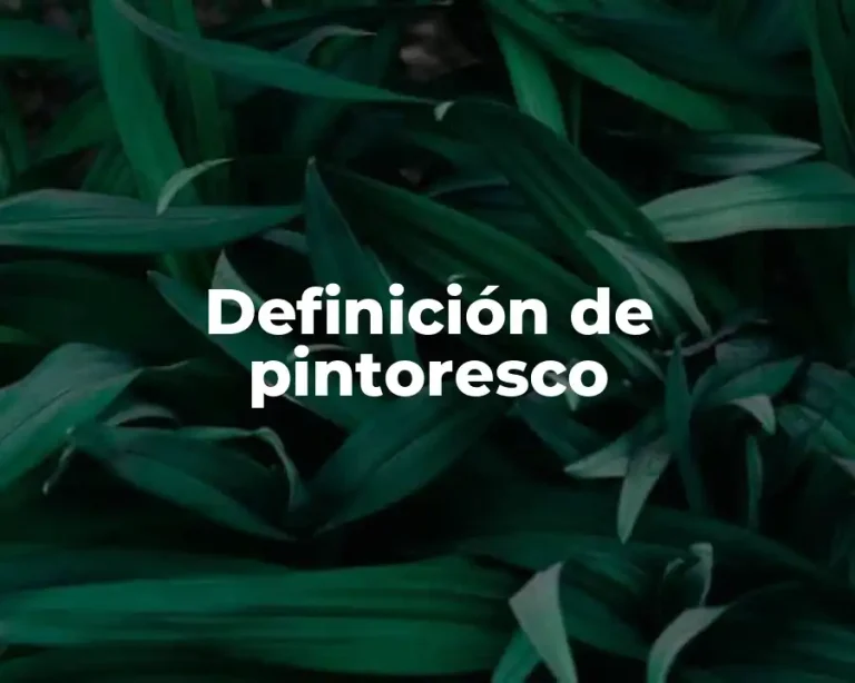 Definición de pintoresco