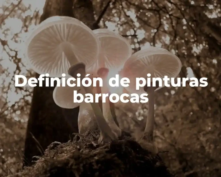 Definición de pinturas barrocas