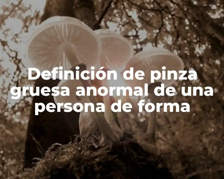 Definición de pinza gruesa anormal de una persona de forma