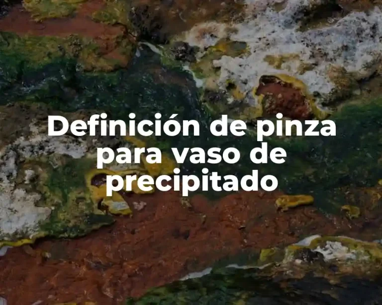 Definición de pinza para vaso de precipitado
