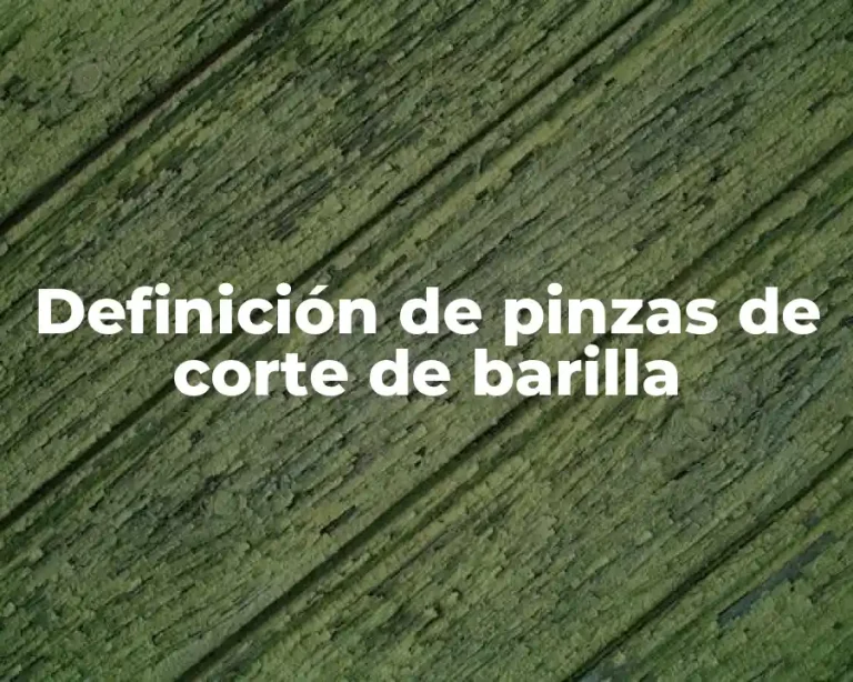 Definición de pinzas de corte de barilla