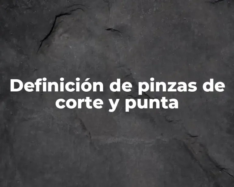 Definición de pinzas de corte y punta