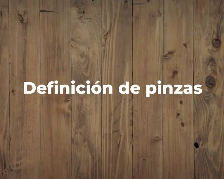 Definición de pinzas