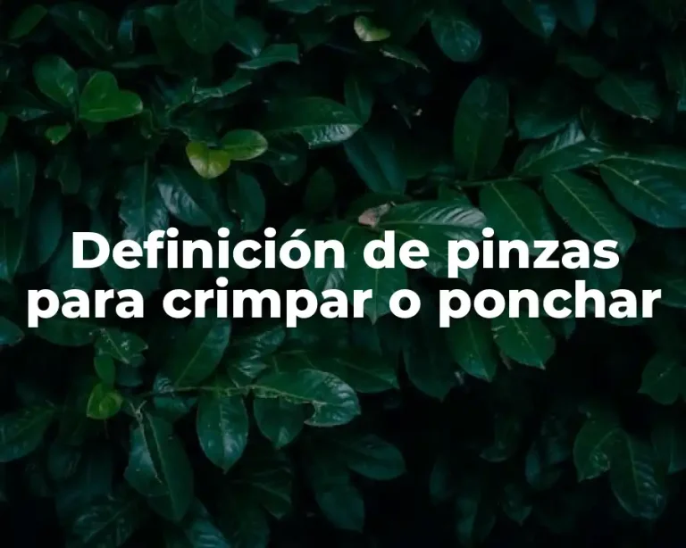Definición de pinzas para crimpar o ponchar