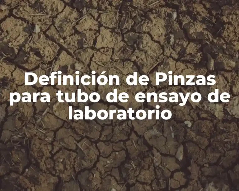 Definición de Pinzas para tubo de ensayo de laboratorio