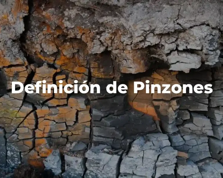 Definición de Pinzones