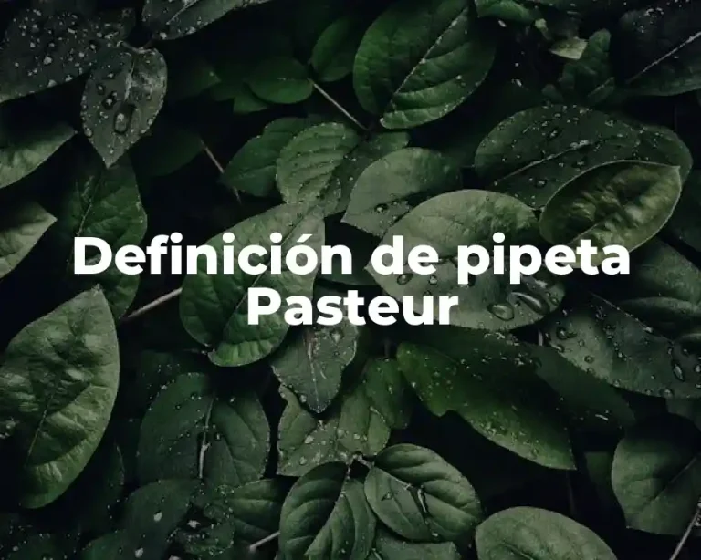 Definición de pipeta Pasteur