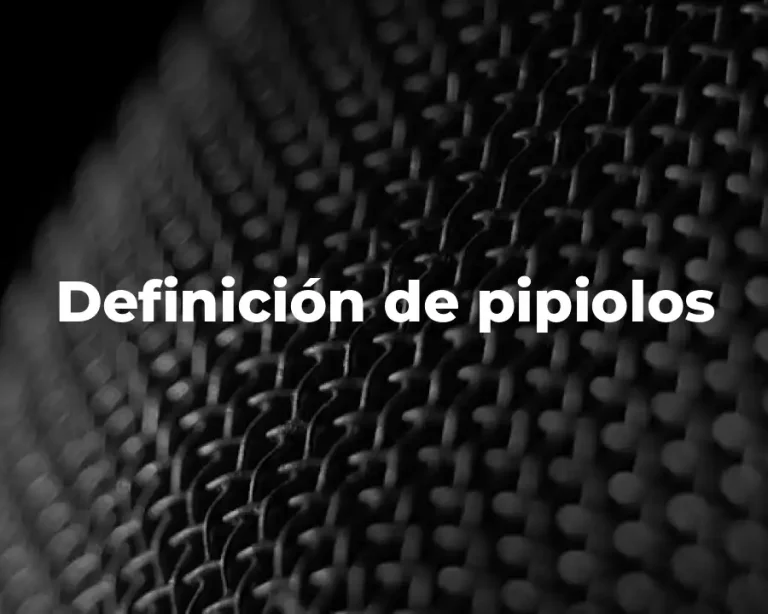 Definición de pipiolos