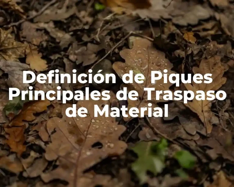 Definición de Piques Principales de Traspaso de Material