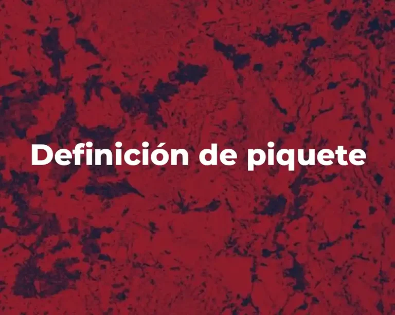 Definición de piquete