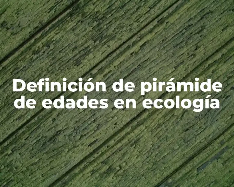 Definición de pirámide de edades en ecología