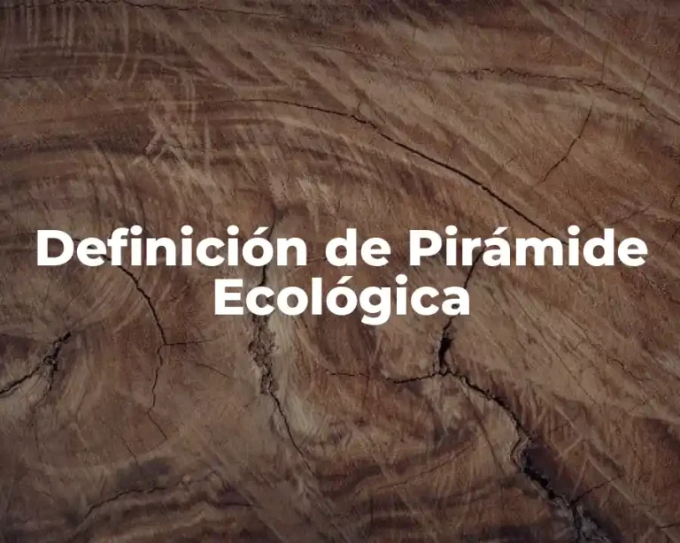 Definición de Pirámide Ecológica