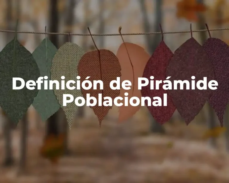 Definición de Pirámide Poblacional