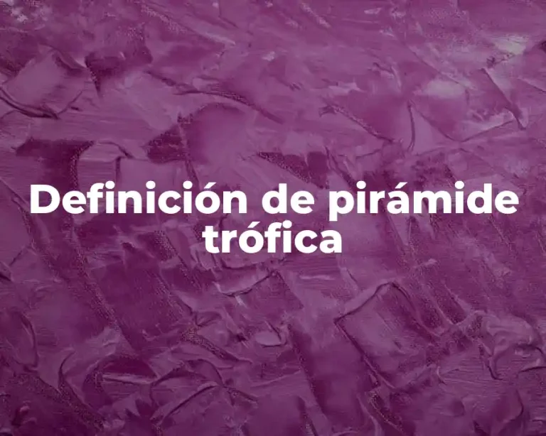 Definición de pirámide trófica