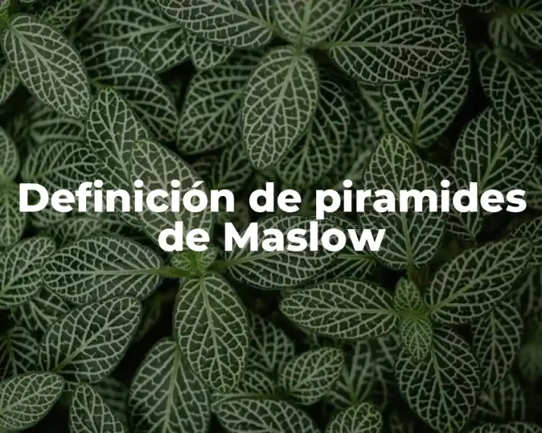 Definición de piramides de Maslow